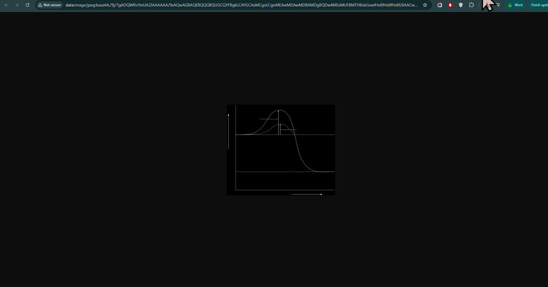 Final output — JSON + CSV export ready for publication